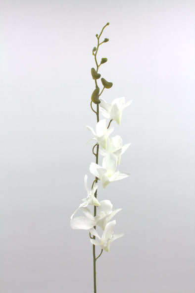 Singapore Dendrobium Orchid White 73cm