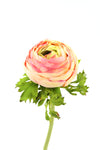 Ranunculus Pink Real Touch