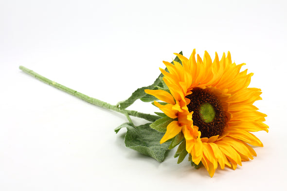 Single Medium Sunflower Yellow 70cm