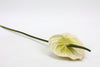 Anthurium Large Artificial Flower Stem - Cream 68cm Real Touch