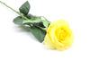 Rose Half Bloom Yellow Real Touch 55cm