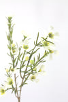 Wax Flower Artificial Flower Spray - White 52cm