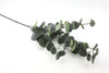 Eucalyptus Silver Dollar Native Artificial Flower Foliage - Dark Green 86cm