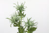 Eryngium Sea Holly Branch Artificial Flower - Green 65cm