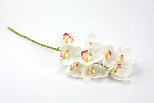 Orchid Cymbidium White Real Touch 70cm