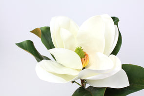 Magnolia Stem Artificial Flower Large Bloom White Real Touch 74cm