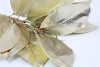 Magnolia Leaves Spray Metallic Champagne Gold 73cm