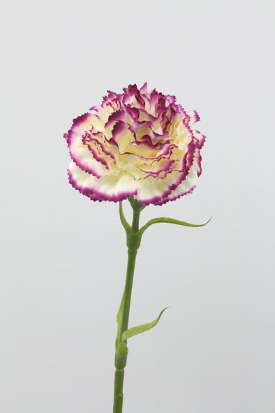 Carnation Ruffle Artificial Flower - Cream Purple 42cm