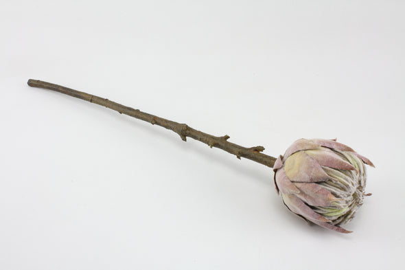 Protea Mauve 51cm