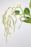 Amaranthus Hanging Spray White 88cm