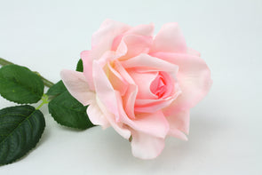 Rose Cynthia Light Pink Real Touch 43cm - wholesale price available