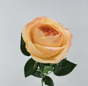 Rose David Austin Early Bloom Artificial Flower - Peach Real Touch 69cm