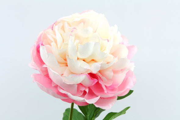 Peony Full Bloom Artificial Flower - Large Pink Cream 63cm