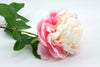 Peony Full Bloom Artificial Flower - Large Pink Cream 63cm
