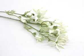 Artificial Flannel Flower Spray - Cream Green 78cm