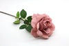 Rose Full Bloom Victorian Open Flower Brown Pink 60cm
