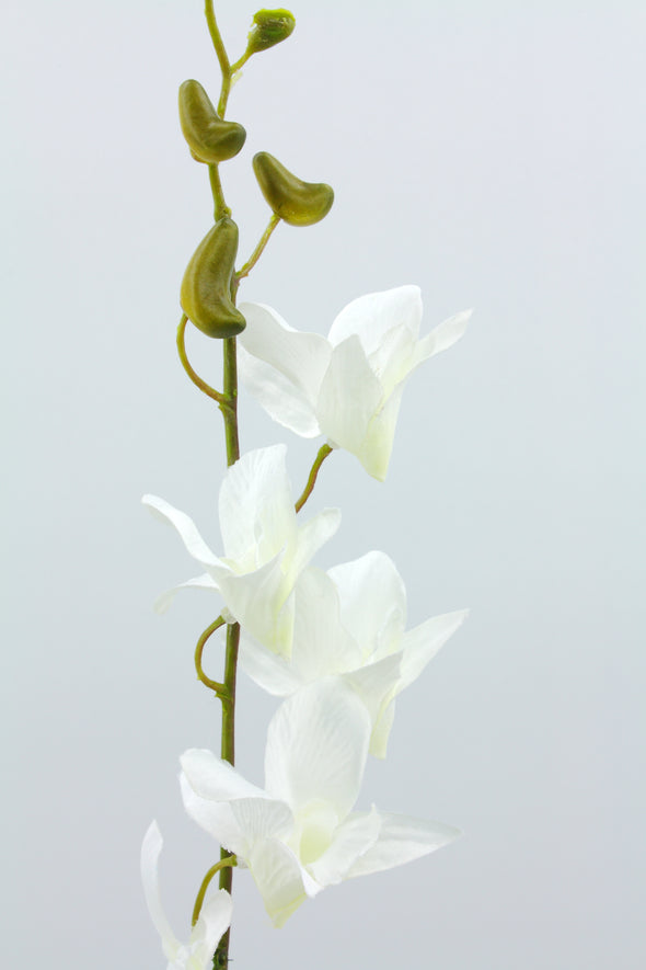 Singapore Dendrobium Orchid White 73cm