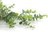 Eucalyptus Native Mini Leaf Artificial Flower Foliage Spray - Green 100cm