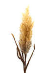 Plume Pampas Artificial Stem -  Thick full head - Natural Coffee 83cm