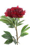 Peony Princess Artificial Flower - Large Burgundy Red 80cm