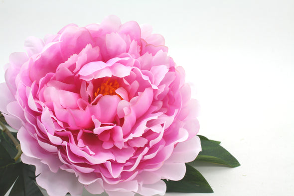 Peony Princess Artificial Flower - Large Pink 80cm