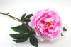 Peony Princess Artificial Flower - Large Pink 80cm