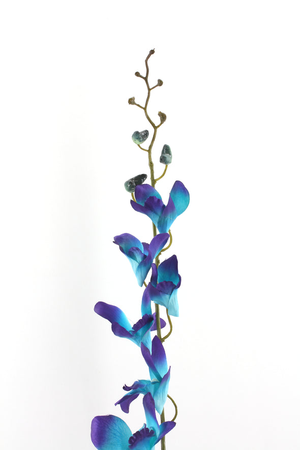 Singapore Dendrobium Orchid Galaxy Blue 73cm