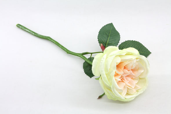 Bailey Rose Artificial Flower - Cream Peach 33cm