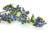 Berry Artificial Flower Spray - Blue 101cm