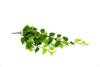 Artificial Hanging Philodendron 75cm