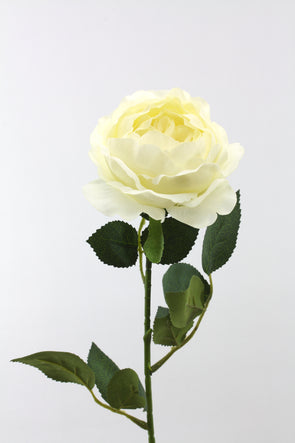 Rose David Austin Full Bloom Artificial Flower - White/Cream Real Touch 70cm