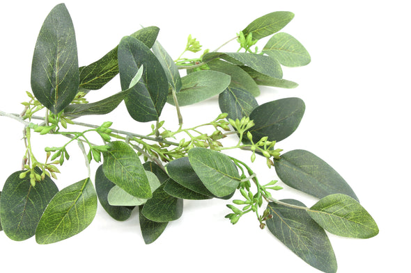 Eucalyptus Leaf and Seed Spray Green 62cm