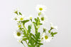 Daisy Artificial Flower Spray - White 63cm