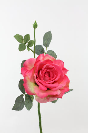 Quiannie Artificial Rose Hot Pink 35cm