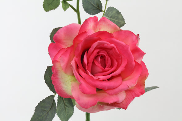 Quiannie Artificial Rose Hot Pink 35cm
