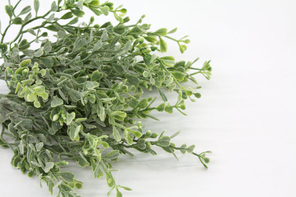 Boxwood Artificial Bush - Grey Green 28cm