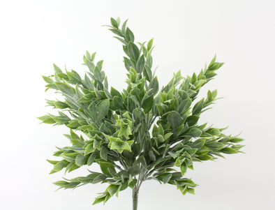 Ruscus Artificial Bush - Grey Green 36cm