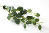 Eucalyptus Dollar Gum Native Artificial Flower Foliage Spray - Green 76cm