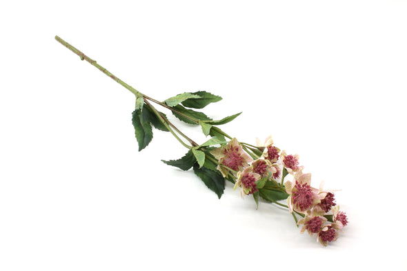 Astrantia Artificial Flower Spray - Pink Green 49cm
