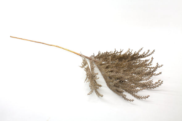 Reed Artificial Flower Spray - Soft Almond 80cm