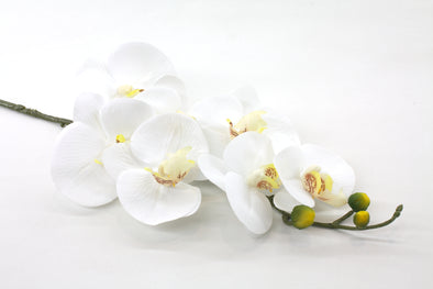 Phalaenopsis Orchid Spray Real Touch White 86cm
