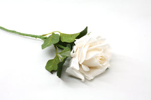 Rose Ivory Real Touch 61cm - wholesale price available