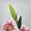 Casablanca Tiger Lily (2 heads) Real Touch Artificial Flower - Pink 85cm