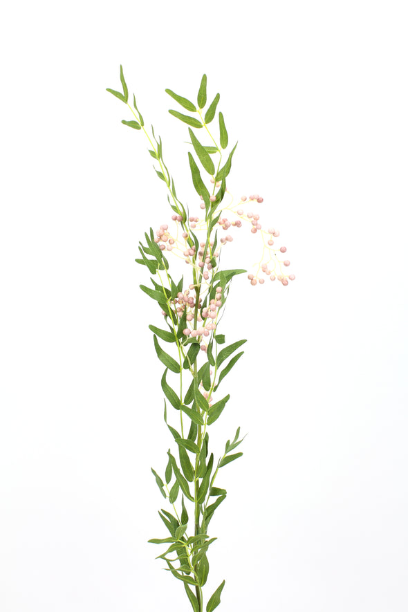 pink Peppercorn and Foliage Stem