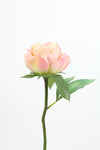 Peony Artificial Flower Stem - Cream Pink 33cm
