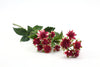 Astrantia Artificial Flower Spray - Burgundy 49cm