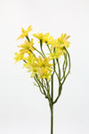 realistic yellow sea aster flowers