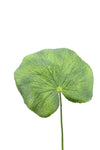 Large Galax Leaf Green 51cm