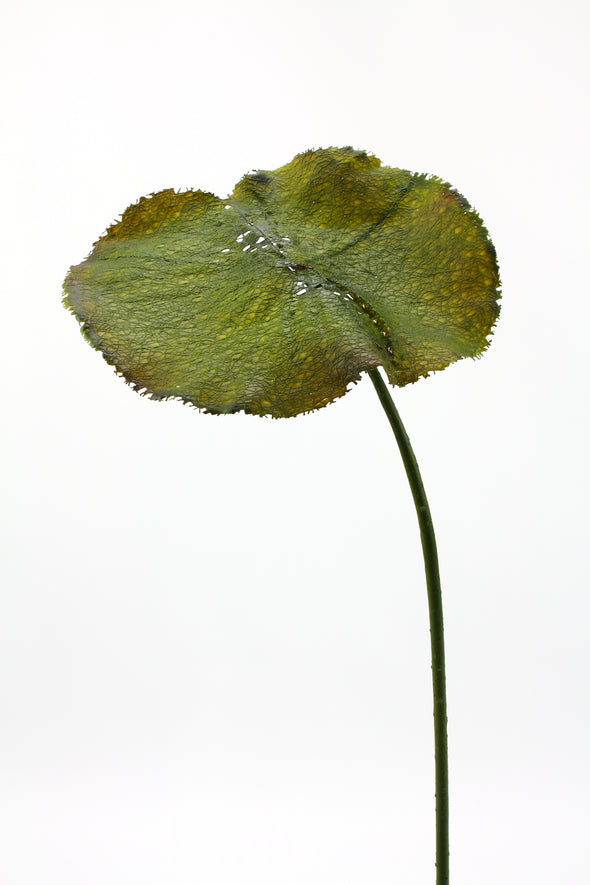 green artificial lotus leaf stem