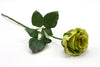 Bouquet Rose Artificial Flower Stem - Green 48cm